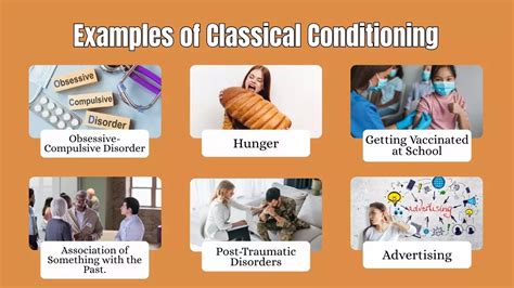 Image result for Classical Conditioning Examples in Real Life