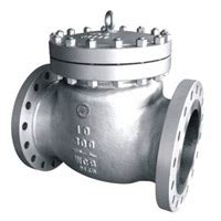 Check Valves For Thermal Fluids Manufacturer in Gujarat, India