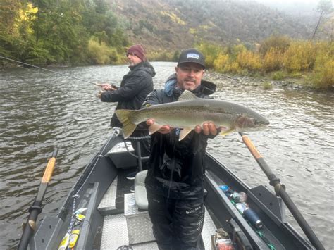 Trinity River Fish Report - Trinity River - Trinity River steelhead ...
