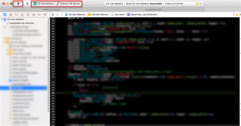 Image result for iOS X Code