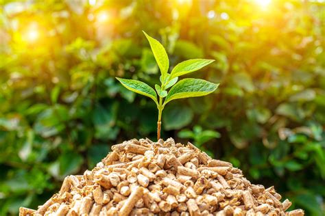 Biomass Pellets for Boilers & Power Plants | Manikaran Power Ltd
