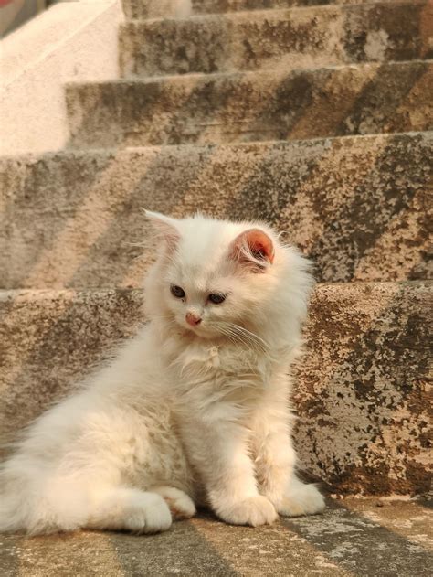 Image result for IMVU Window Texture Free Download