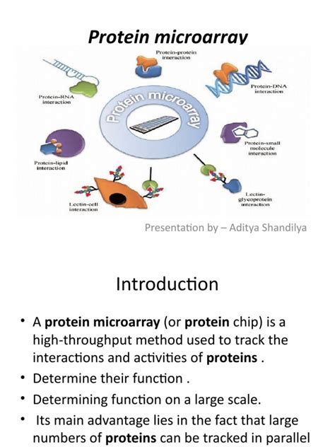 Protein Microarray Applications 的图像结果