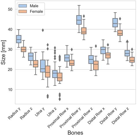 Sex-Specific Size Analysis of Carpal Bones: Implications for Orthopedic ...