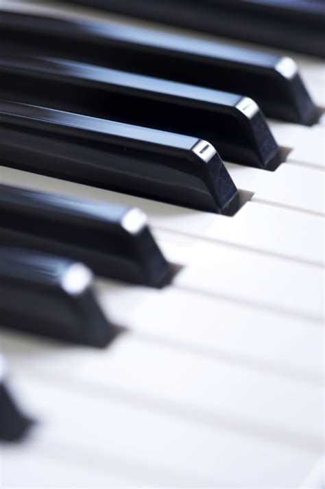 Image result for Instrumental