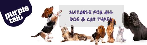 Buy Purple Tail Dog Biscuit Mutton Flavour | Dog Biscuits for Adult Dog ...