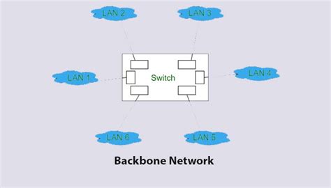 Backbone Network 的图像结果