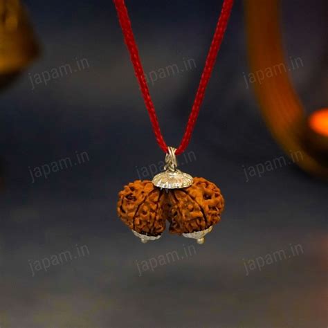 Authentic Gauri Shankar Nepali Rudraksha - Divine unity of Shiva & Sha ...