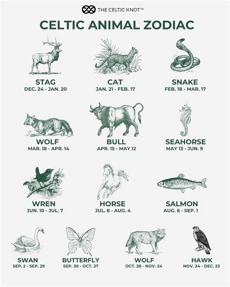 Learn about celtic zodiac animals with detail and meanings – Artofit