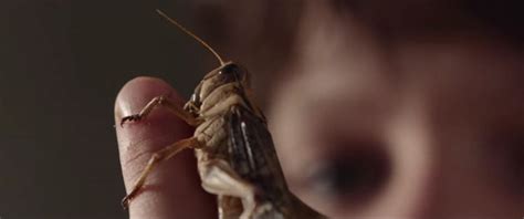 Alien Swarm Ending 的图像结果