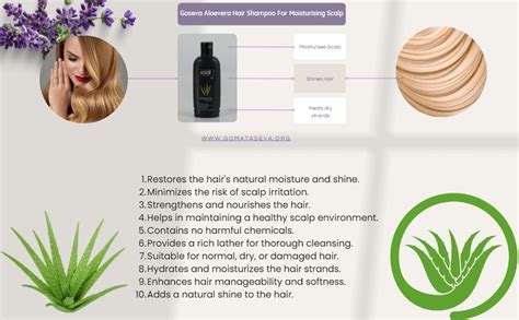 Buy Goseva Aloevera Hair Shampoo (500 ML) | Moistures Scalps And ...