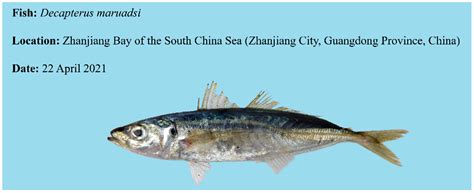 Whole-Genome Sequencing Analyses Reveal the Evolution Mechanisms of ...