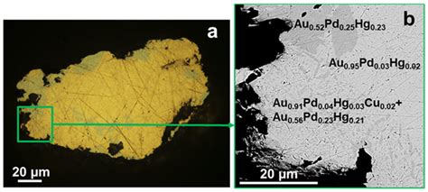 Pd,Hg-Rich Gold and Compounds of the Au-Pd-Hg System at the Itchayvayam ...