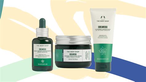 The Body Shop Best-Sellers To Buy Plus Why It's A Cult Brand to Know | Glamour UK
