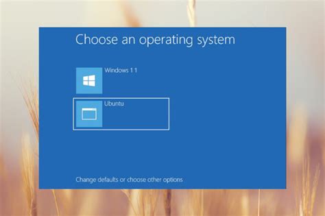 How to Remove Linux From Dual Boot Windows 11 的图像结果