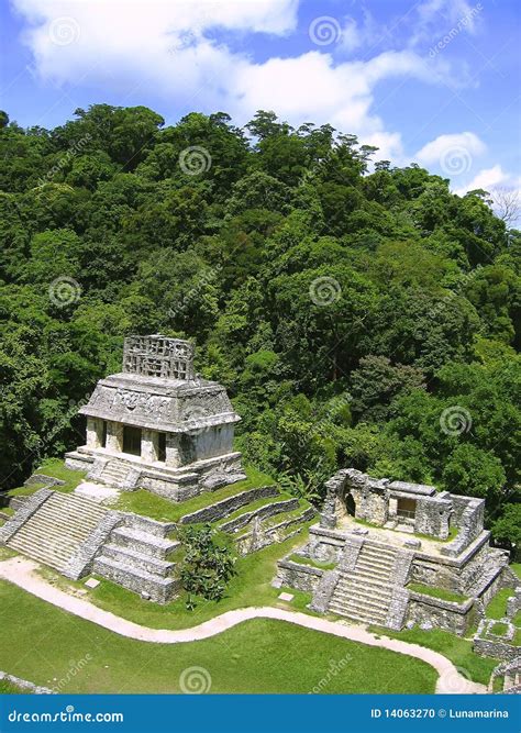 Palenque Mayan Ruins Maya Chiapas Mexico Stock Photo - Image of high ...