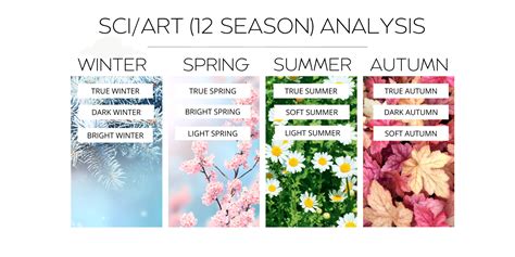 Colour Type 的图像结果