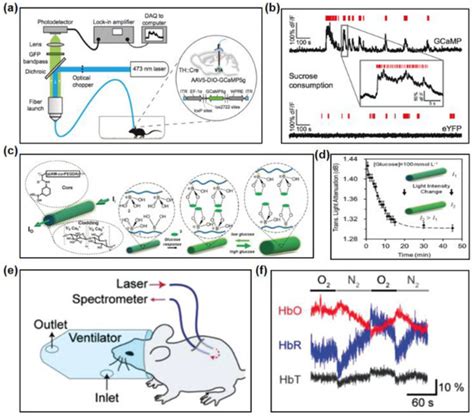 Materials | Special Issue : Soft Material-Enabled Electronics for ...