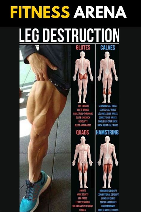 Leg Exercise 的图像结果