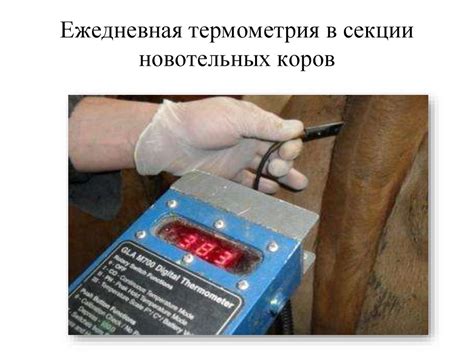 Лекция 8 Гигиена КРС - презентация онлайн