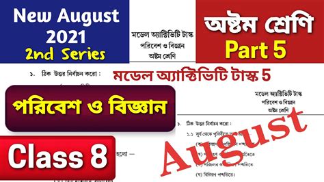 Model Activity Task Class 8 Part 5 的图像结果