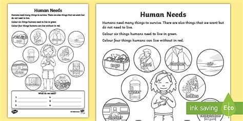 What Is a Human Need? Worksheet for Kids | Twinkl