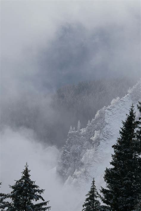 Humid 的图像结果