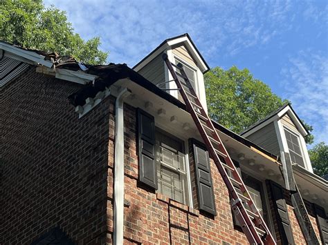 Image result for Tree Rot Damage Repair