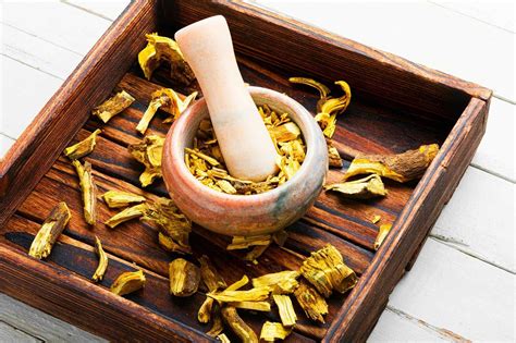 Traditional Medicine 的图像结果