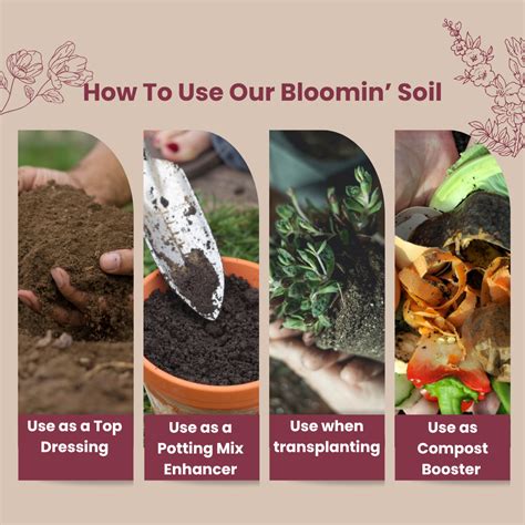 Potting Mix vs. Potting Soil: What's the Actual Difference? – Elm Dirt