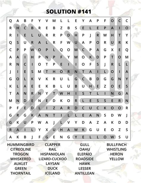 North American Birds Word Search Large Print_puzzles 141-160 - Etsy