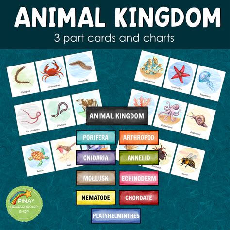 Animal Kingdom 3 Part Cards and Charts - Pinay Homeschooler Shop