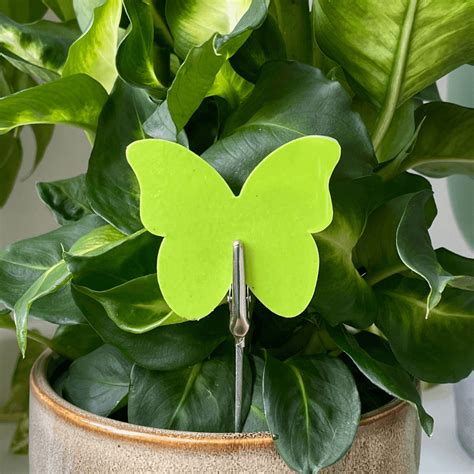 Image result for Scrap Trap Clips