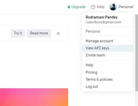 Chatgpt API Key vs Code 的图像结果