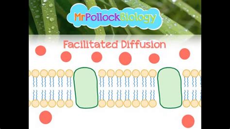 Image result for Diffusion Process Animation