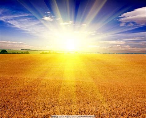 阳光向上有朝气的图片阳光向上有朝气的图片卡通2022已更新今日资讯