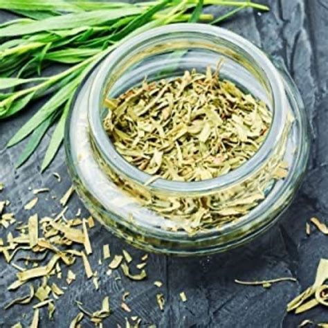 Herb Plants French Tarragon One X Plant In 9cm Pot By Acqua Garden