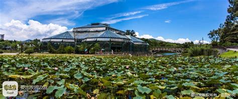 2021广州华南植物园五一开放吗 广州华南植物园门票价格_旅泊网