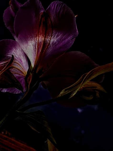 Image result for High-Rise Derby