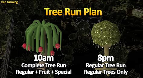 Image result for OSRS Tree Farming Locations