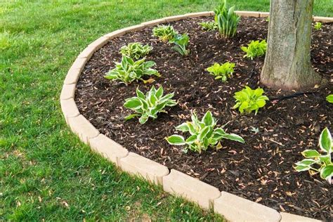 Image result for Landscaping Timber around Tree
