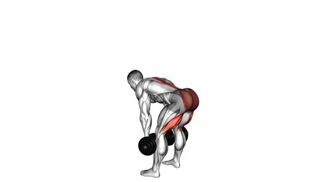 Dumbbell Romanian Deadlift: Ultimate Video Guide & Expert Tips