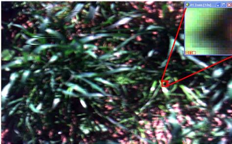 Image result for Spectral Camera