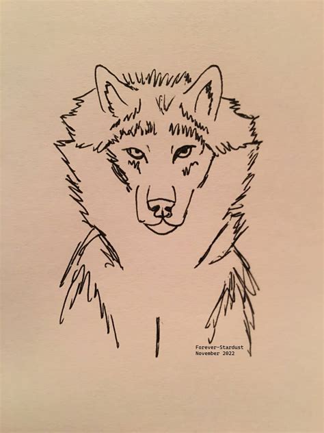 Image result for Wolf Art Tutorial