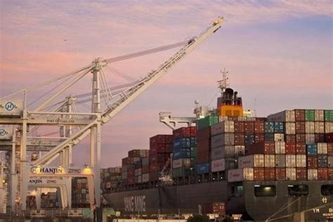 Exporters undeterred by possible FDI inflow