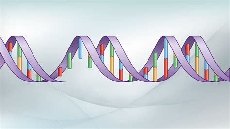 Image result for Mutation Bio