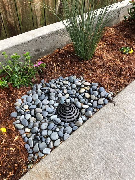 Yard Drainage: Effective Water Management Solutions