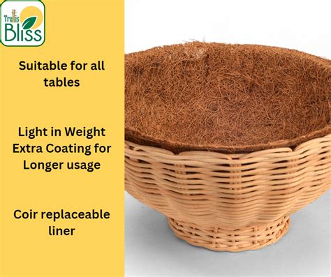 Trellis Bliss 10″ Reed Woven Bowl Tabletop Planter – trellisblissindia