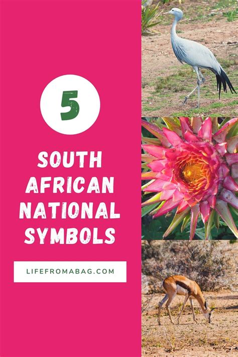 Unveiling South Africa’s Pre-Colonial Identity: A Journey to Its Forgotten Name