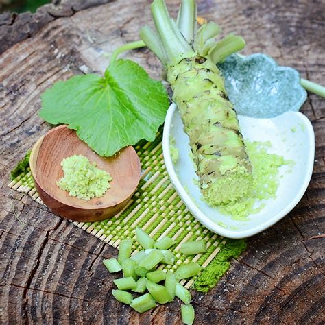 Wasabi Wasabi Plant - Territorial Seed Company - Territorial Seed Company